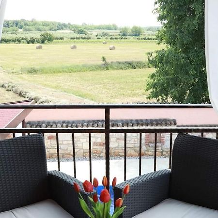 Porec Villa Luna With Pool Ngoại thất bức ảnh